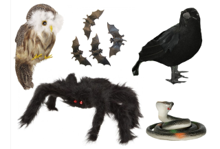 Animales y Bichos halloween baratos – Tienda online de Animales y Bichos