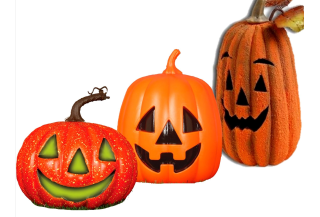 Calabazas baratos – Tienda online de Calabazas
